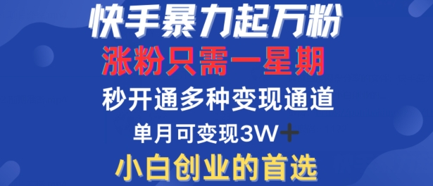 快手暴力起万粉，涨粉只需一星期，多种变现模式，直接秒开万合，单月变现过W【揭秘】-千羽资源库