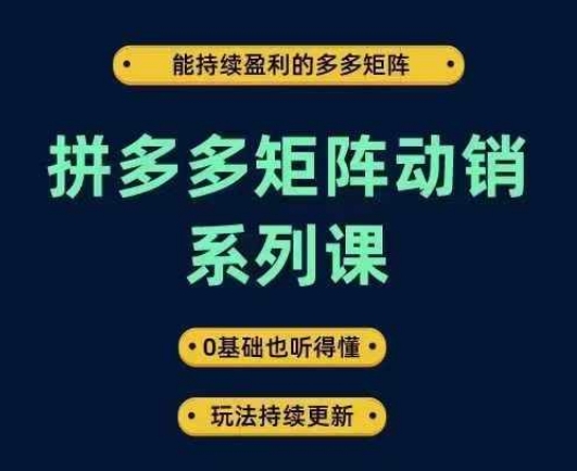 拼多多矩阵动销系列课，能持续盈利的多多矩阵，0基础也听得懂，玩法持续更新-千羽资源库