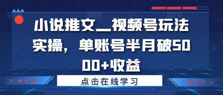 小说推文—视频号玩法实操，单账号半月破5000+收益-千羽资源库