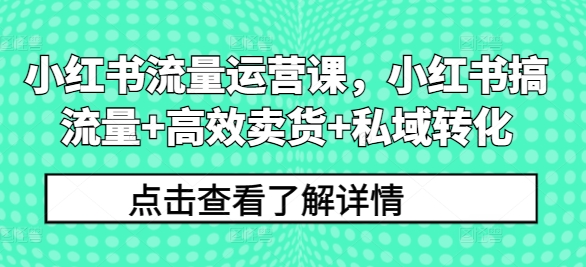 小红书流量运营课，小红书搞流量+高效卖货+私域转化-千羽资源库