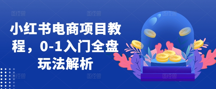 小红书电商项目教程，0-1入门全盘玩法解析-千羽资源库