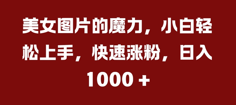 美女图片的魔力，小白轻松上手，快速涨粉，日入几张【揭秘】-千羽资源库