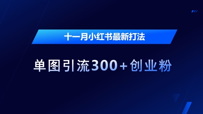 十一月小红书最新打法，单图引流300+创业粉【揭秘】-千羽资源库