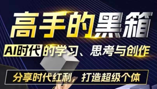 高手的黑箱：AI时代学习、思考与创作-分红时代红利，打造超级个体-千羽资源库