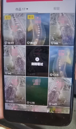 外面卖399的国学佛像原创暴力起号技术，快速起号，7天可达到一个万粉号-千羽资源库