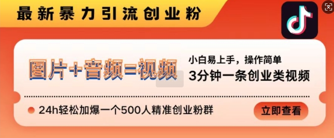 抖音最新暴力引流创业粉，3分钟一条创业类视频，24h轻松加爆一个500人精准创业粉群【揭秘】-千羽资源库