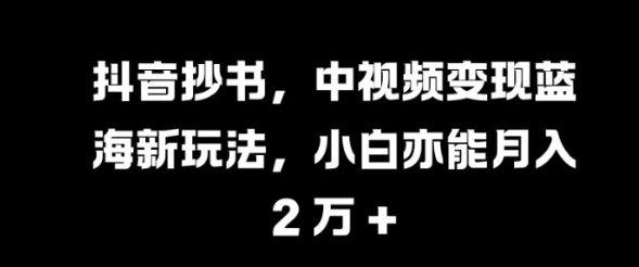 抖音抄书，中视频变现蓝海新玩法，小白亦能月入 过W【揭秘】-千羽资源库
