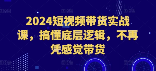 2024短视频带货实战课，搞懂底层逻辑，不再凭感觉带货-千羽资源库