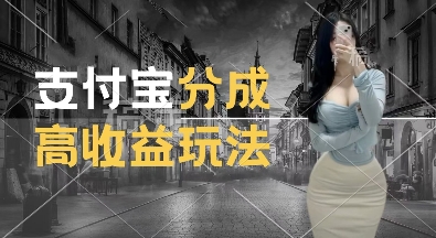 支付宝分成计划新玩法，利用交通事故视频，赚收益，轻松月入过W，操作简单【揭秘】-千羽资源库