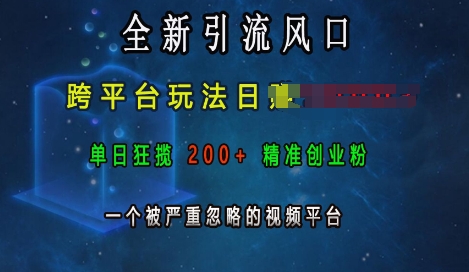 全新引流风口，跨平台玩法日入上k，单日狂揽200+精准创业粉，一个被严重忽略的视频平台-千羽资源库