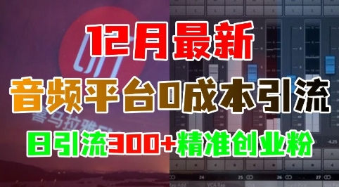 12月最新：音频平台0成本引流，日引流300+精准创业粉-千羽资源库