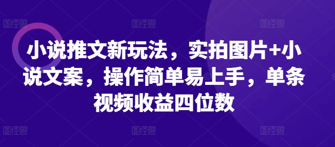 小说推文新玩法，实拍图片+小说文案，操作简单易上手，单条视频收益四位数-千羽资源库