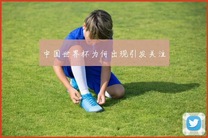 中国世界杯为何出现引发关注